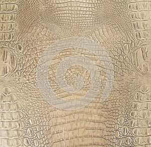 Light Brown Colored Embossed Gator Belly Leather Texture