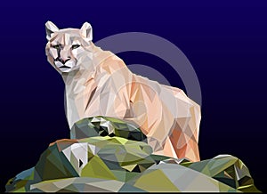 Light brown cougar, low poly illistration photo