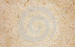 Light brown fibrous kraft paper texture close up