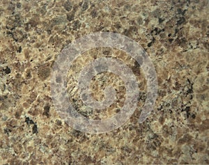 Light-brown granite with white and black impregnation.