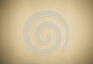 Light brown leather background