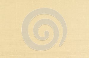 Light brown leather background texture