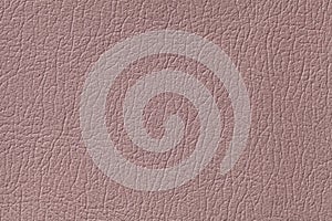 Light brown leather texture background with pattern, closeup