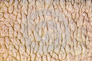 Light brown shaggy fabric. Abstract background of plush faux fur fleece surface close-up