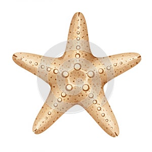 Light Brown Starfish Illustration on White Background