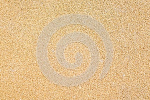 Light BrownTexture. Background for Design