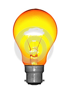 Light Bulb