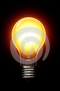 Light Bulb