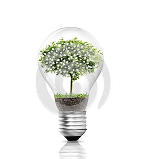 Light bulb Alternative energy concept