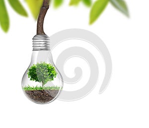 Light bulb Alternative energy concept