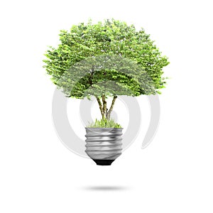 Light bulb Alternative energy concept