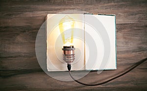 Light bulb and book. Knowledge and wisdom