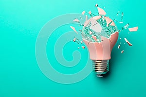 A light bulb with a broken glass inside of it