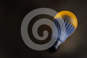 LIGHT BULB