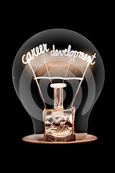 Light Bulb Career Development Concept