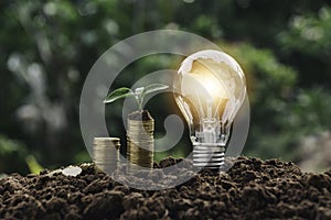 Light bulb with coins beside and young plant on top concept put on the soil in soft green nature background