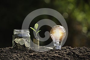 Light bulb with coins beside and young plant on top concept put on the soil in soft green nature background