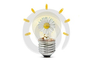 Light bulb with daisy flower on white background - Concept of ecology and green energy