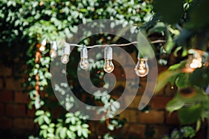 Light bulb decor in outdoor party. Party