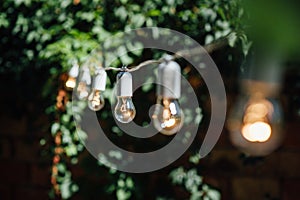 Light bulb decor in outdoor party. Party