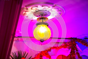 Light bulb decor in outdoor party & Wedding