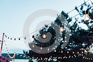 Light bulb decor in outdoor party, Wedding party