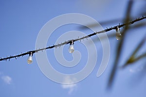 Light bulb decor. Street light bulbs on a lace on a background of blue sky. Light bulb decor in outdoor.