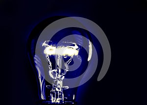 Light Bulb Detail. photo