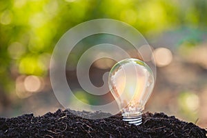 Light bulb,energy sources for renewable,natural energy