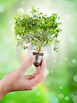 Light bulb in female's hand