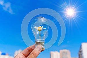 Light Bulb with Flowering Daisy in Hand against Blue Sky