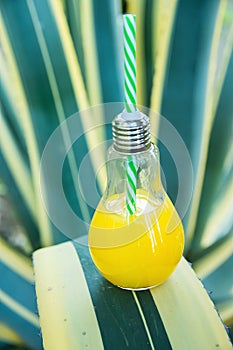 Light Bulb Glass Bottle with Freshly Pressed Orange Tropical Fruits Juice Standing on Agave Leaf. Seaside Beach Vacation