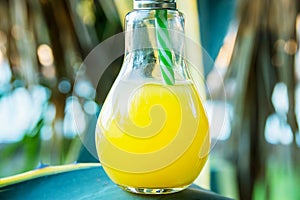 Light Bulb Glass Bottle with Freshly Pressed Orange Tropical Fruits Juice Standing on Agave Leaf. Sunlight in Background