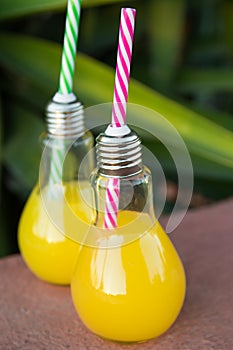 Light Bulb Glass Bottles with Freshly Pressed Orange Tropical Fruits Juice on Stone. Green Palm Tree Leaves Foliage Background.