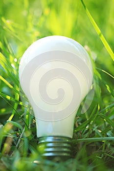 Light bulb in grass
