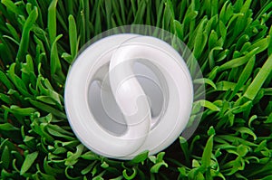 Light Bulb in Grass - Environmental Concept