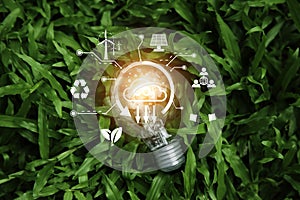 light bulb on grass nature, eco green energy system icon around. Innovation technology eco energy concept. light bulb energy