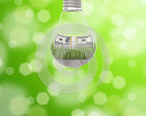 Light bulb with grass and a wad of dollars inside on green background