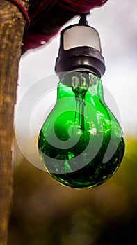 Light bulb green photo