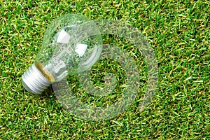 Light bulb on green grass