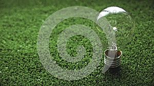 Light bulb on the green grass.The concept of energy saving, renewable energy and environmentally friendly