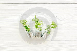 Light bulb with green grass - renewable energy eco concept