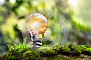 light bulb on green grass and sunlight in nature. concept of energy saving