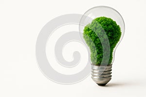 A light bulb with green moss inside. Space for text.