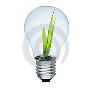 Light bulb and green sprout inside