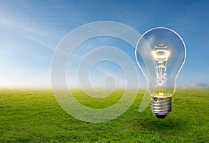 Light bulb grow in the grass against blue sky. Forest conservation and Eco concept