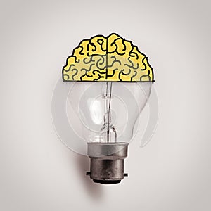 Light bulb with hand drawn brain