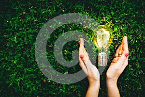 Light bulb in hands on green grass background. Eco friendly energy