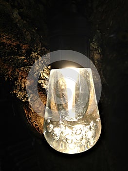 Light bulb hanging on city tree at night