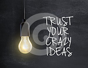 Light bulb with idea quote